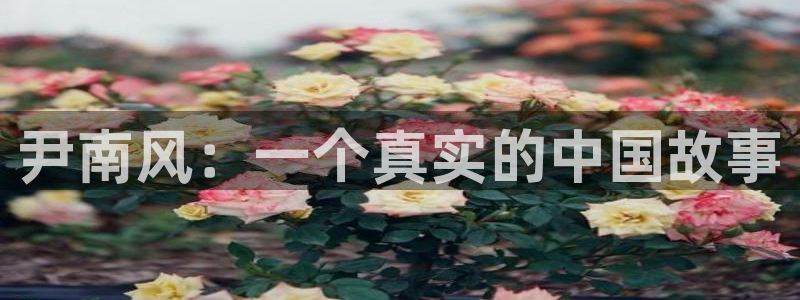 神马影院达达兔秋霞影院：尹南风：一个真实的中国故事