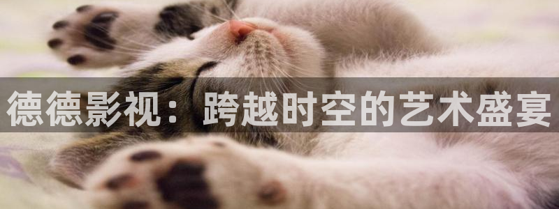 达达兔手机在线观看电影,电视剧：德德影视：跨越时空的艺术盛宴