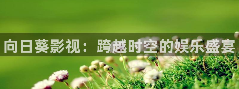 达达兔影院午夜影院