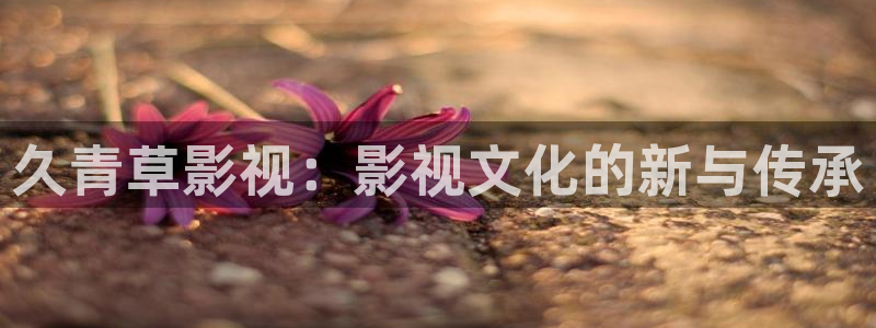 达达兔午夜影院：久青草影视：影视文化的新与传承