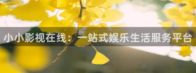 第九超院达达兔达达：小小影视在线：一站式娱乐生活服务平台